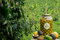 Doğal Yeşil Kırma Zeytin (1 Kg)