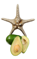 Avokado 250 gr üzeri 1 kg